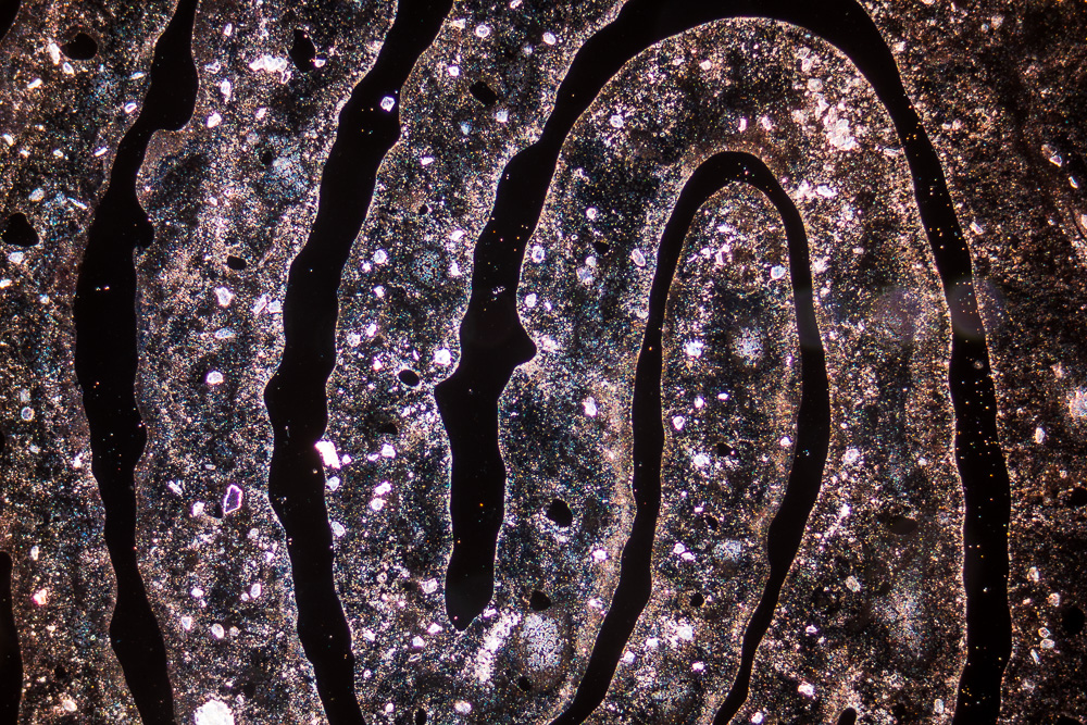 Fingerprint under microscope, 2019.