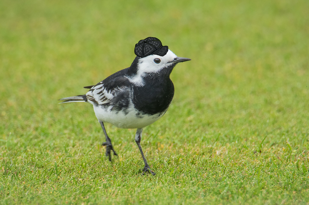 What a dapper young fellow.