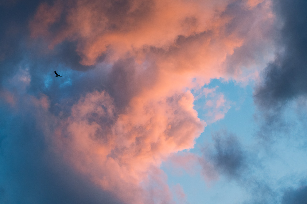 'Forget Mars! Destination: <br>fluffy cloud.' - NASA