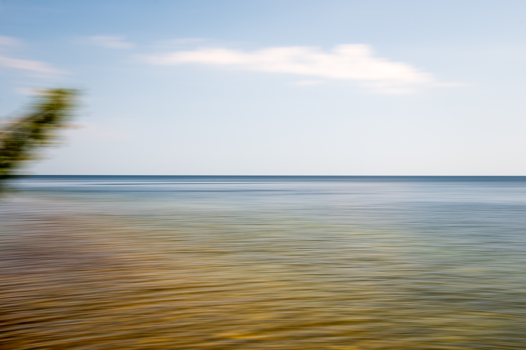 Algae-yellowed rocks in<br>Lake Michigan, 2020.